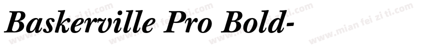 Baskerville Pro Bold字体转换
